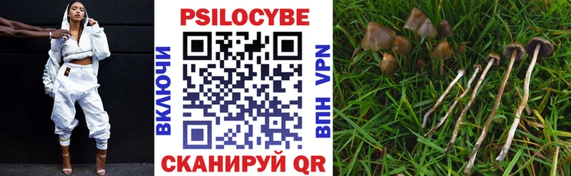 купить наркотики сайты  Красновишерск  Псилоцибиновые грибы Psilocybe 